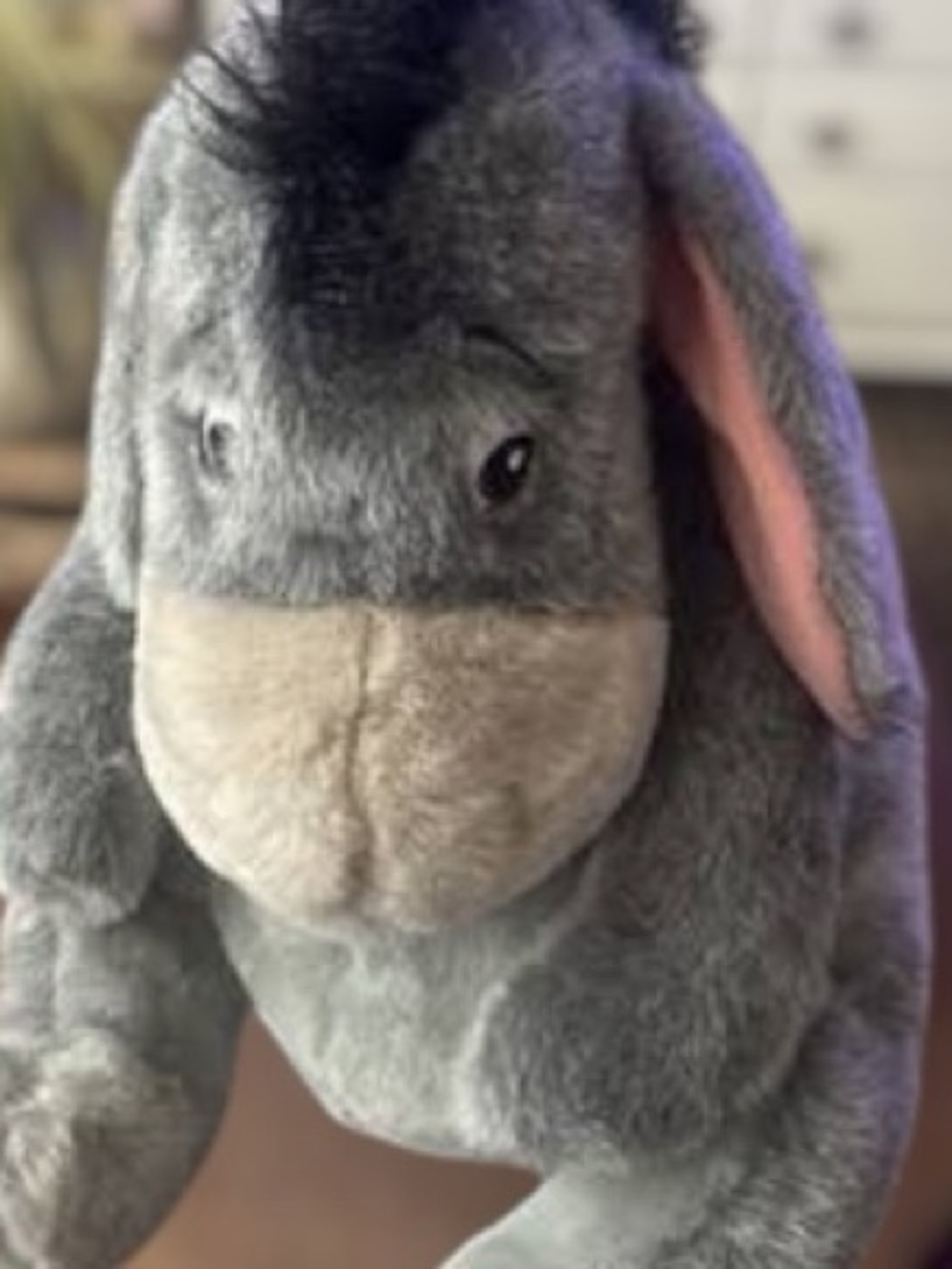 EEYORE BUNDLE